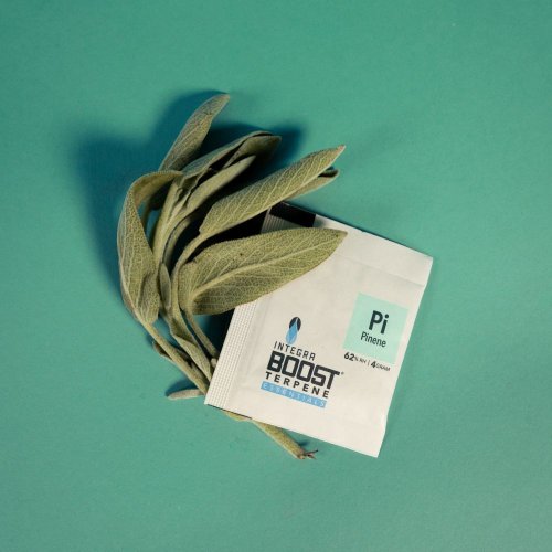 Integra Boost Terpene Essentials Pinen 4 g, 62%, 1 ks
