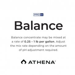 Athena PRO Line Balance 0.9 kg (2 lbs) sáček