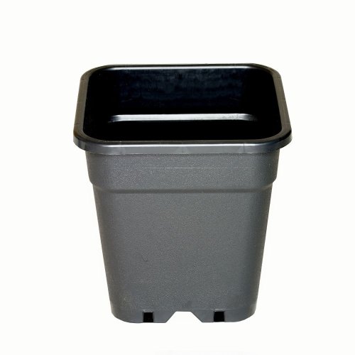 Wilma květináč plastový 31x31x32 cm - 18 l