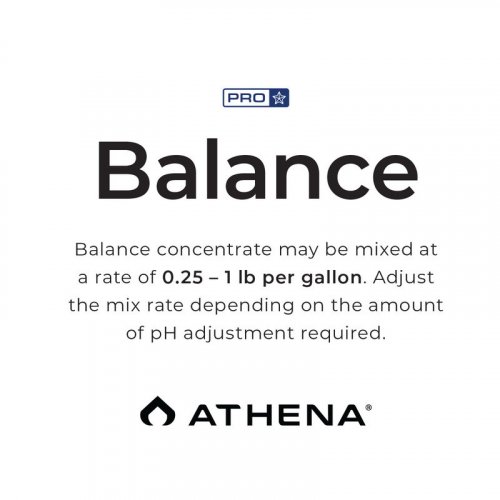 Athena PRO Line Balance 4.5 kg (10 lbs) BOX