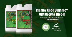 Advanced Nutrients Iguana Juice Organic Grow - OIM Nová Receptura! 5l