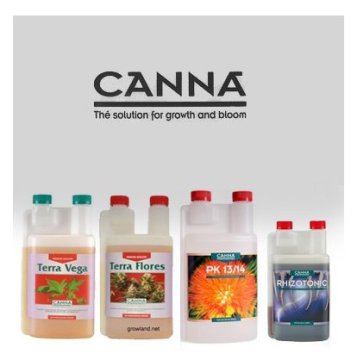 Canna - Skladem