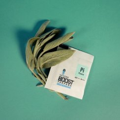 Integra Boost Terpene Essentials Pinen 4 g, 62%, 1 ks