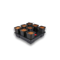 Wilma Large 8x 6 l - 75x75x20 cm
