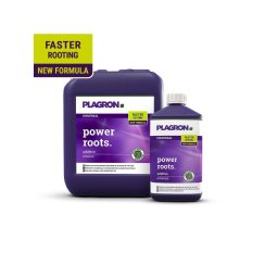 Plagron Power Roots 100 ml