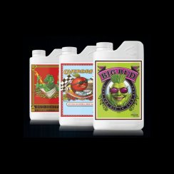 Advanced Nutrients Big Bud Liquid 4 L