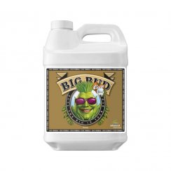 Advanced Nutrients Big Bud Coco Liquid 5 l