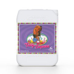 Advanced Nutrients Tasty Terpenes 10 l