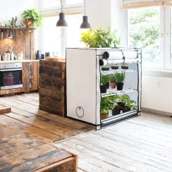 Homebox Vista Medium, 125x65x120 cm