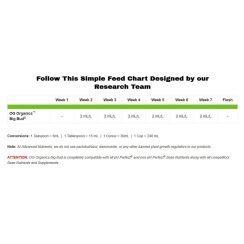 Advanced Nutrients True Organics Big Bud Liquid OIM 10 l